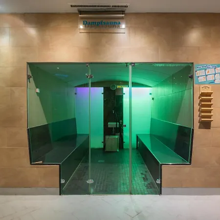 Hotel Ifa & Schoeneck (Saxony)